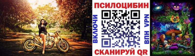 мега сайт  Няндома  Псилоцибиновые грибы мицелий  магазин   